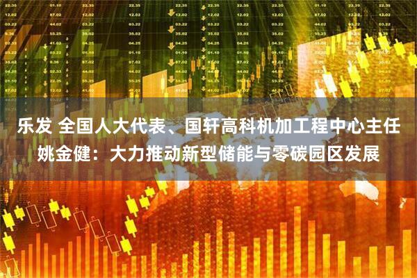 乐发 全国人大代表、国轩高科机加工程中心主任姚金健：大力推动新型储能与零碳园区发展