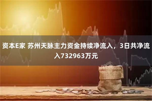 资本E家 苏州天脉主力资金持续净流入，3日共净流入732963万元