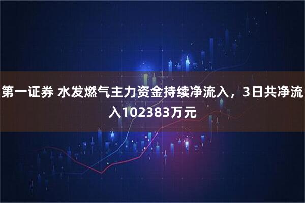 第一证券 水发燃气主力资金持续净流入，3日共净流入102383万元