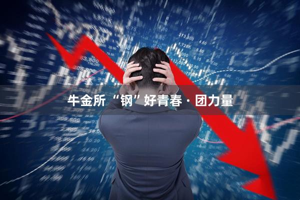牛金所 “钢”好青春 · 团力量